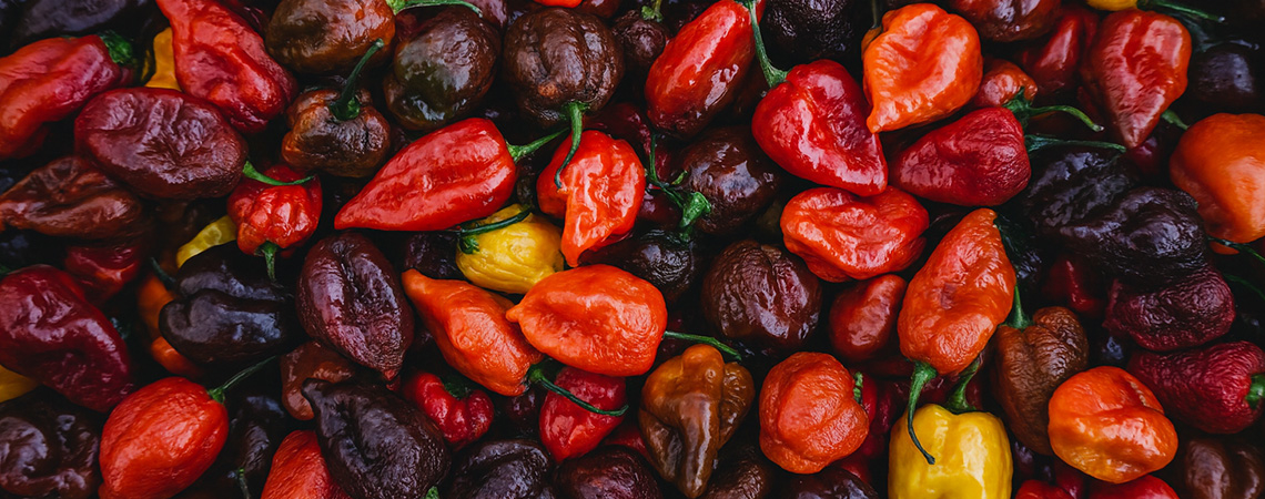 Top 20 der schärfsten Chilis der Welt (2025 Edition)