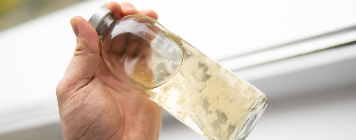 Anleitung: Flüssigkultur herstellen