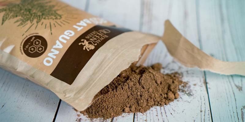 Wann Und Wie Man Fledermausguano Für Cannabis Verwendet