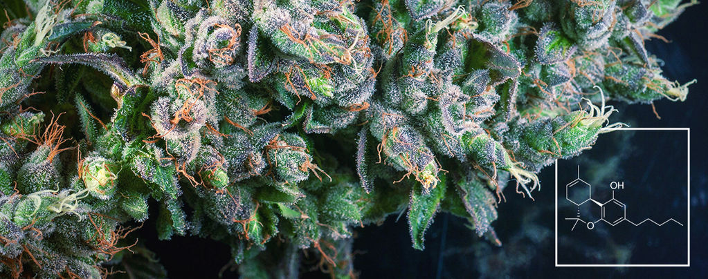 Was Ist Delta-8-THC (∆⁸-THC)?