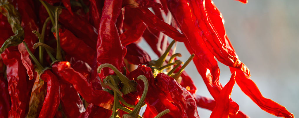 Wie Man Cayenne Long Slim Chilis Anbaut