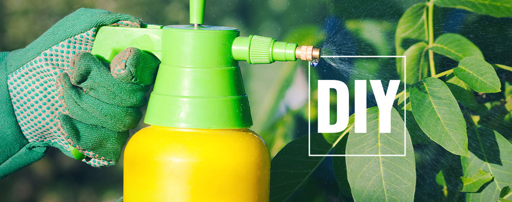 Wie Man Natürliche Pestizide Für Chilipflanzen Herstellt