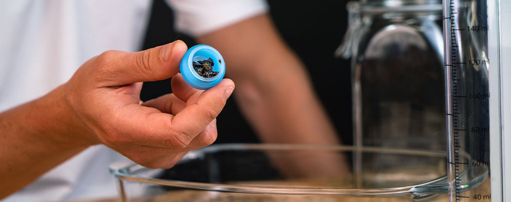 Wie Man QWISO-Cannabisextrakt Herstellt