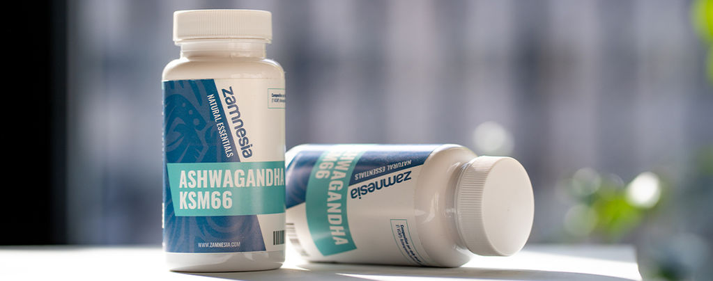 Alles Wissenswerte Über Ashwagandha