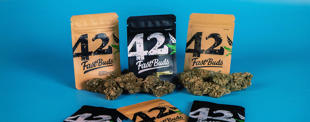 FastBuds: Weed In Apothekenqualität In Rekordzeit