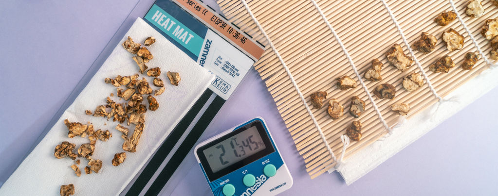 Wie Man Magic Truffles Trocknet