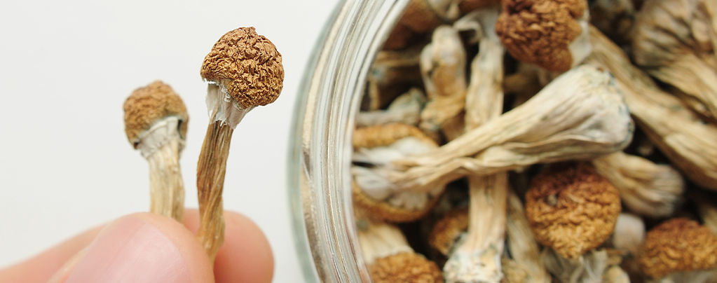 Wie Oft Sollte Man Mikrodosieren?