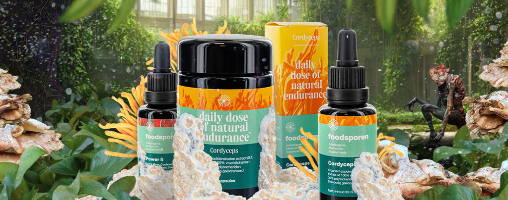 Alles Wissenswerte Über Cordyceps