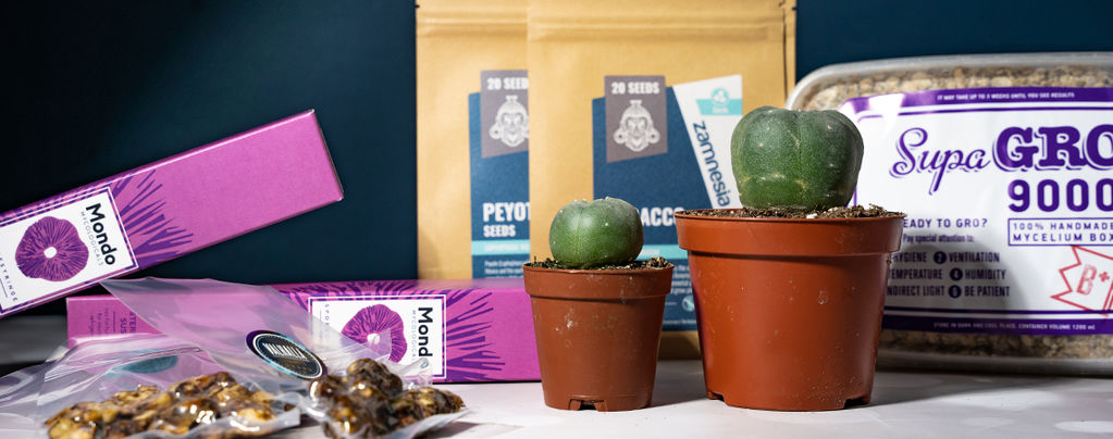 Die 10 Besten Geschenke Für Psychonauten