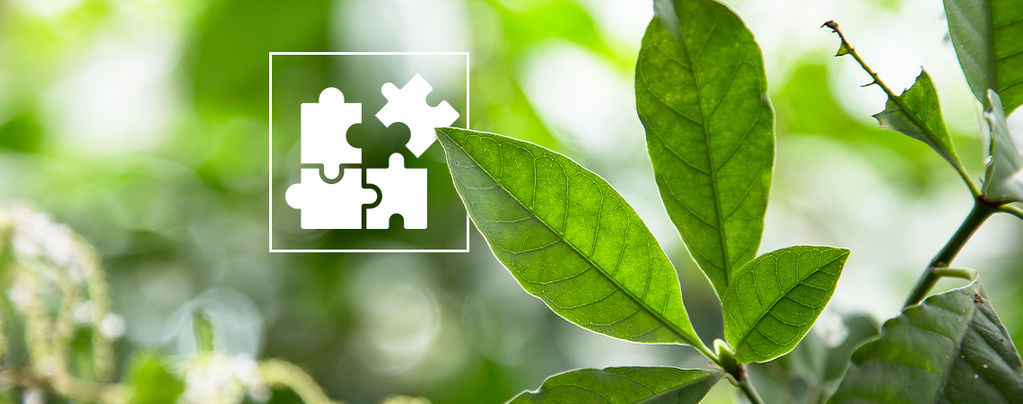 DMT-Microdosing: Ein Überblick