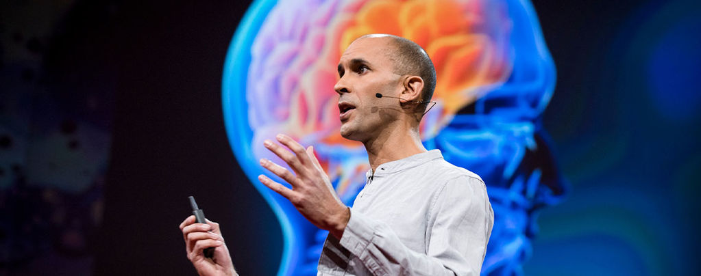 Ein Gespräch Über Psychedelika Mit Professor Anil Seth