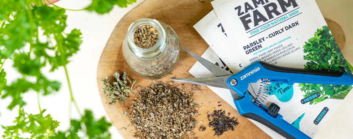 Wie Trocknet Man Kräuter Zu Hause Richtig?