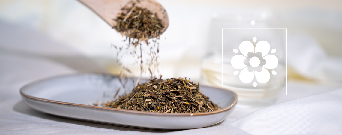 Was Ist Mexikanischer Estragon Und Wie Verwendet Man Ihn?