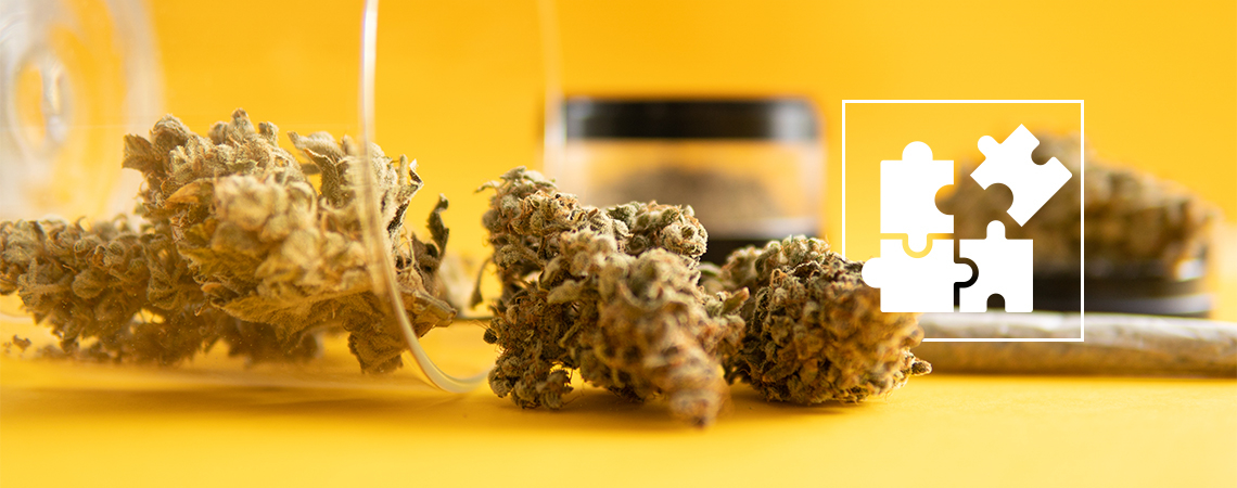 THC-Mikrodosierung: Was Bedeutet Es Und Wie Geht Es?