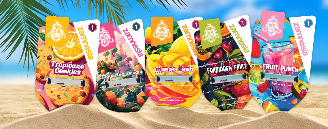 Zamnesia Seeds Show Teil 3: Club Tropicana