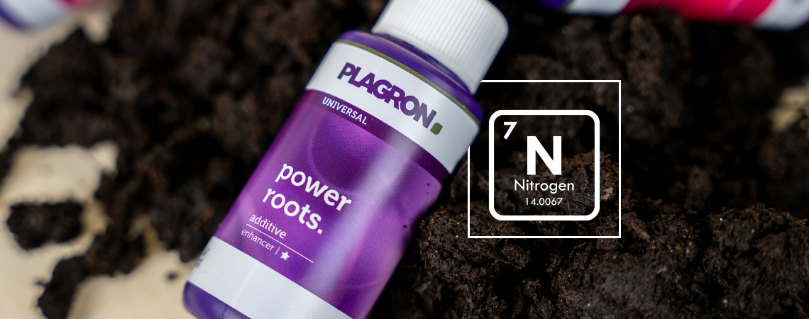 Anleitung: Stickstoffmangel Erkennen Und Verhindern