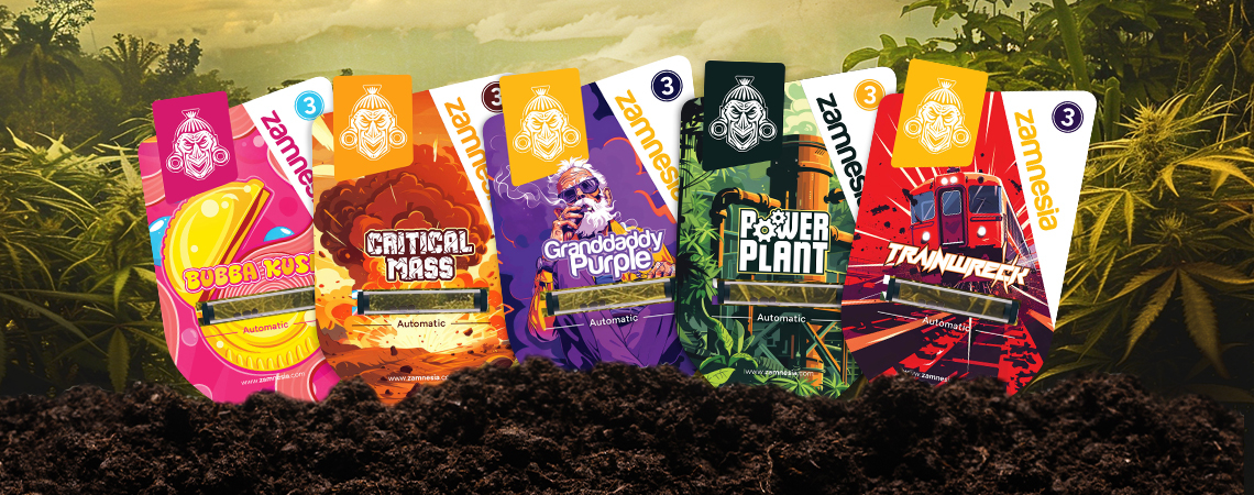 Zamnesia Seeds Show Episode 4: Legendäre Klassiker