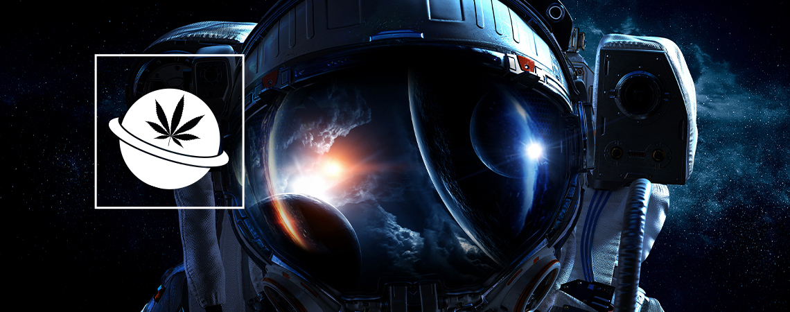 Cannabisanbau Im Weltraum