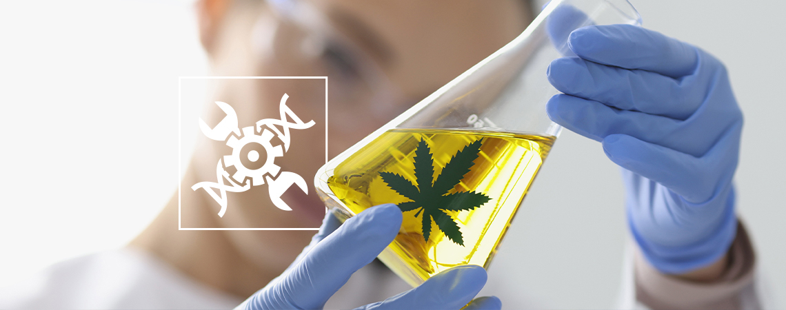 Cannabis-Biohacking: Ein einzigartiger Ansatz für moderne Wellness