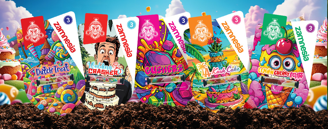 Zamnesia Sortenpräsentation: Sweet-Topia