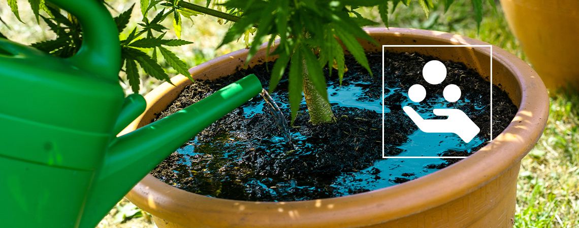 Cannabis-Zusatzstoffe erklärt: Was sie bringen und warum man sie braucht