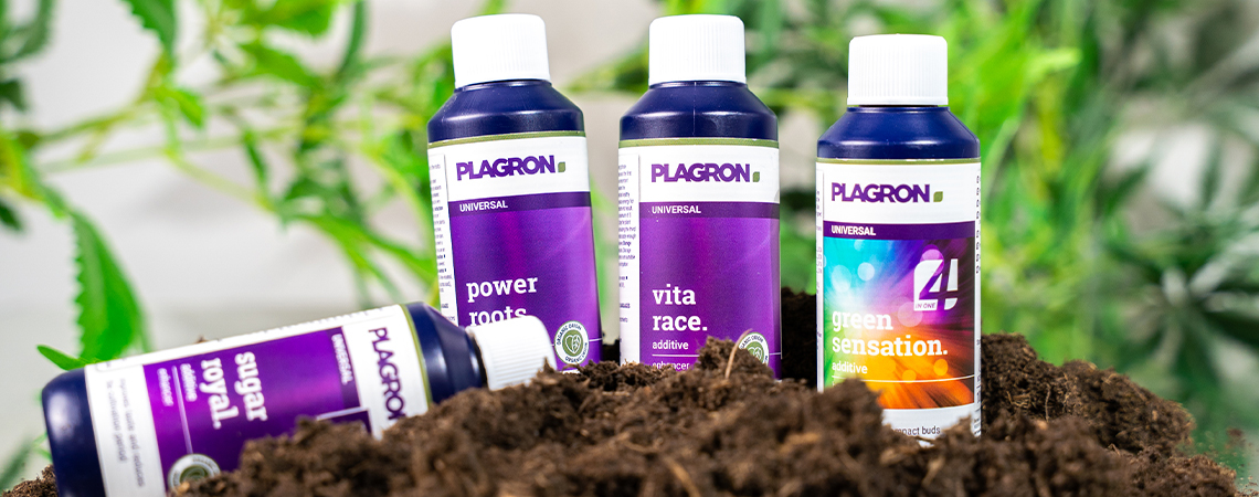 Cannabis organisch anbauen: Die besten natürlichen Dünger