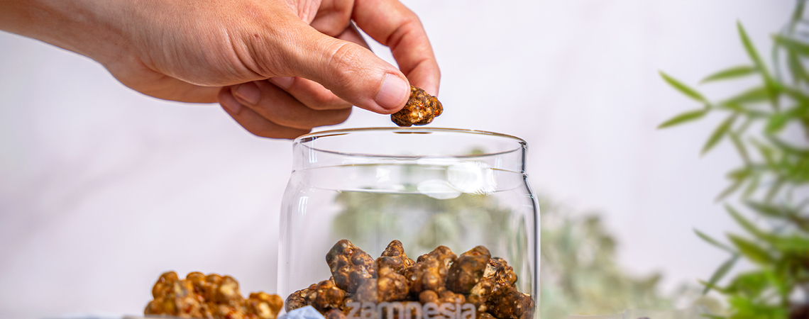 Wie lagert man Magic Truffles richtig?