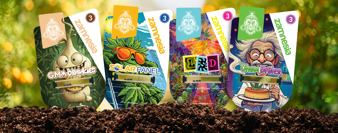 Willkommen in Sector Z: Eine geheime Cannabisentdeckung