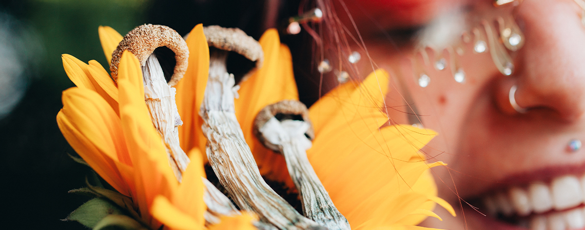 So bereitet man sich auf einen sicheren psychedelischen Trip vor