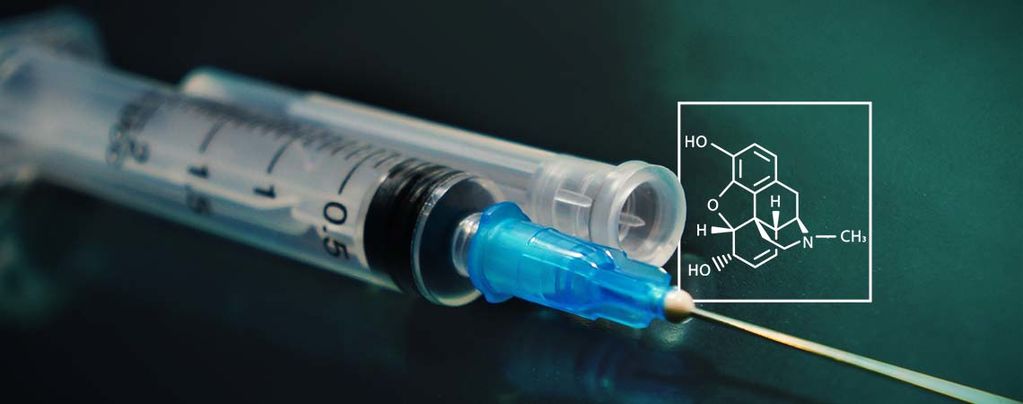 Neue Studie: Morphium aus Zucker und Wasser herstellen