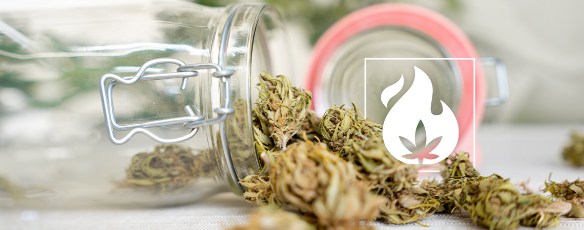 Cannabis Decarboxylieren: 3 Methoden