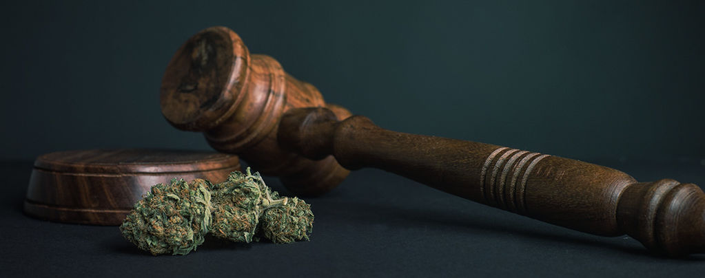 10 Gründe, Warum ALLE Drogen Legalisiert Werden Sollten