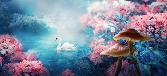 Bewirken Zauberpilze 'Wachträume'?