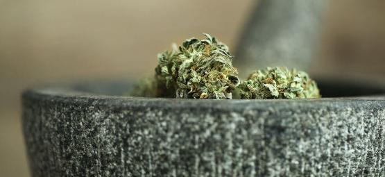 10 Wege, Cannabis Ohne Einen Grinder Zu Zerkleinern [2025 Update]