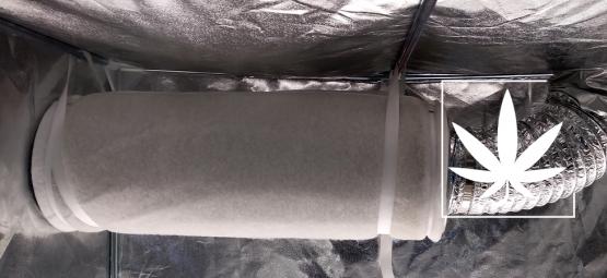 Wie Man Kohlefilter Nutzt, Um Den Geruch Von Cannabis Zu Kontrollieren