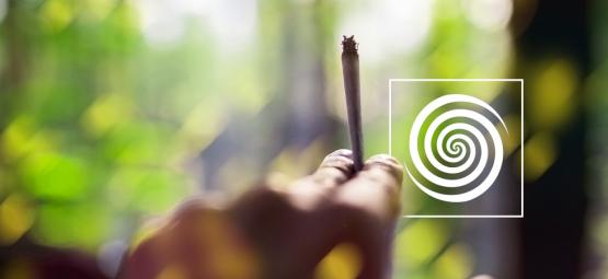 Kann man mit Cannabis eine psychedelische Erfahrung machen?