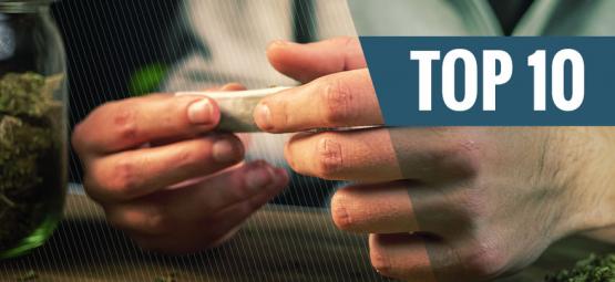 Die 10 Besten Tipps, Um Das Meiste Aus Deinen Grasvorräten Herauszuholen