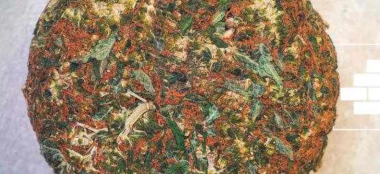 Was Ist Gepresstes Gras?