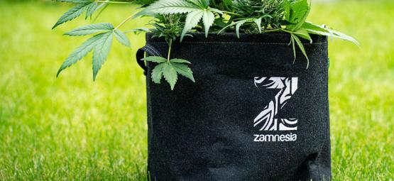 Was Sind Smart Pots Und Wie Kann Man Sie Selbst Machen?