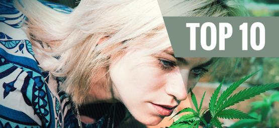 Top 10 Der Geruchsarmen Cannabissorten, Die Geruch Minimieren