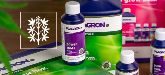 Wie Du Mit Plagron Das Beste Aus Deinen Pflanzen Rausholst