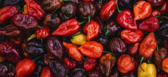 Top 20 der schärfsten Chilis der Welt (2025 Edition)