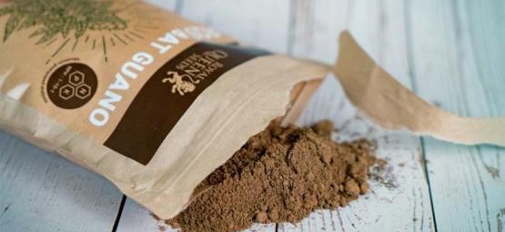 Wann Und Wie Man Fledermausguano Für Cannabis Verwendet