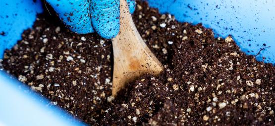 Wie Man Mit Der Eimer-Technik CVG-Substrat Zubereitet