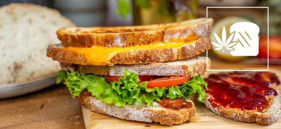 So Bereitet Man Ein Cannabis-sandwich Zu – 5 Leckere Rezepte