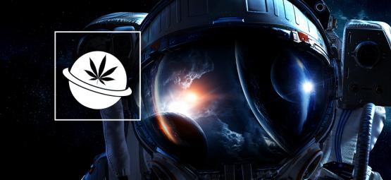 Cannabisanbau Im Weltraum