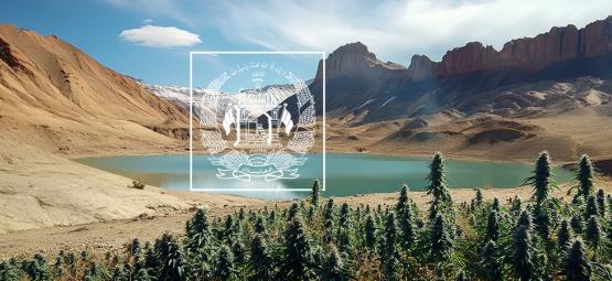 Die Vergangenheit, Gegenwart Und Zukunft Afghanischer Landrassensorten