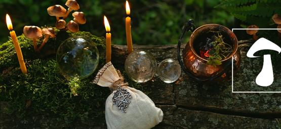 Wer waren die Druiden und nutzten sie Magic Mushrooms?