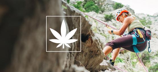 Cannabis und Bouldern