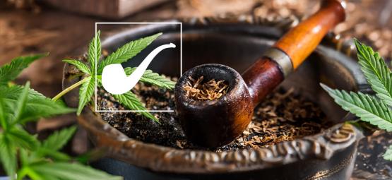 Ist Langgrundblatt in „Der Herr der Ringe“ Weed?